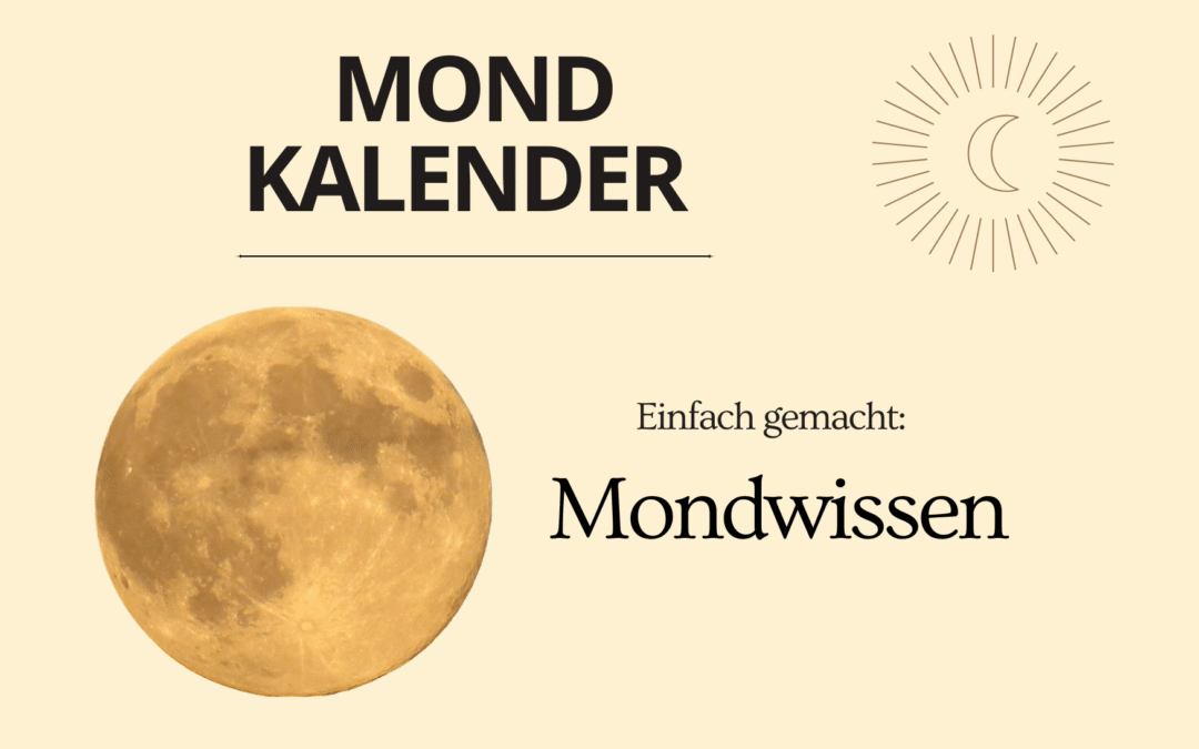 MONDWISSEN – leicht gemacht