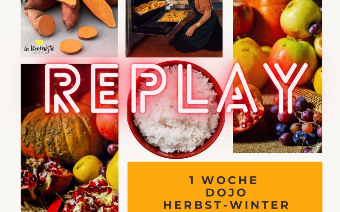 REPLAY & BOOKLET  – DOJO Herbst – Winter