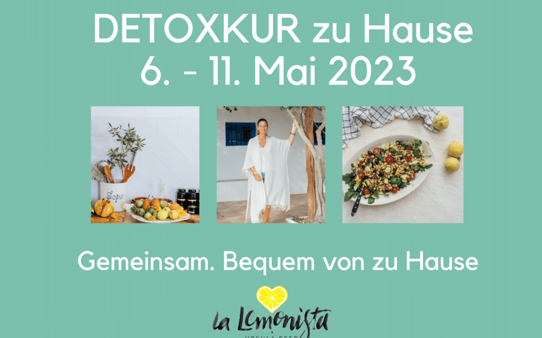 TCM DETOX Kur zu Hause ab dem 6. Mai 2023