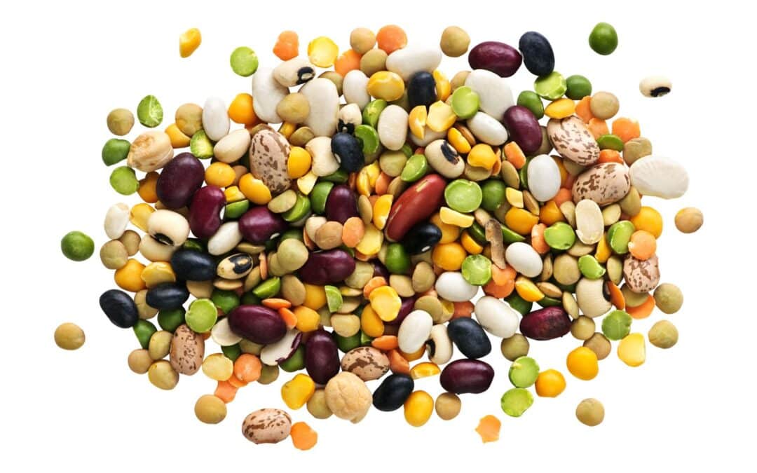 REIS & BOHNEN – Ein ideales Paar