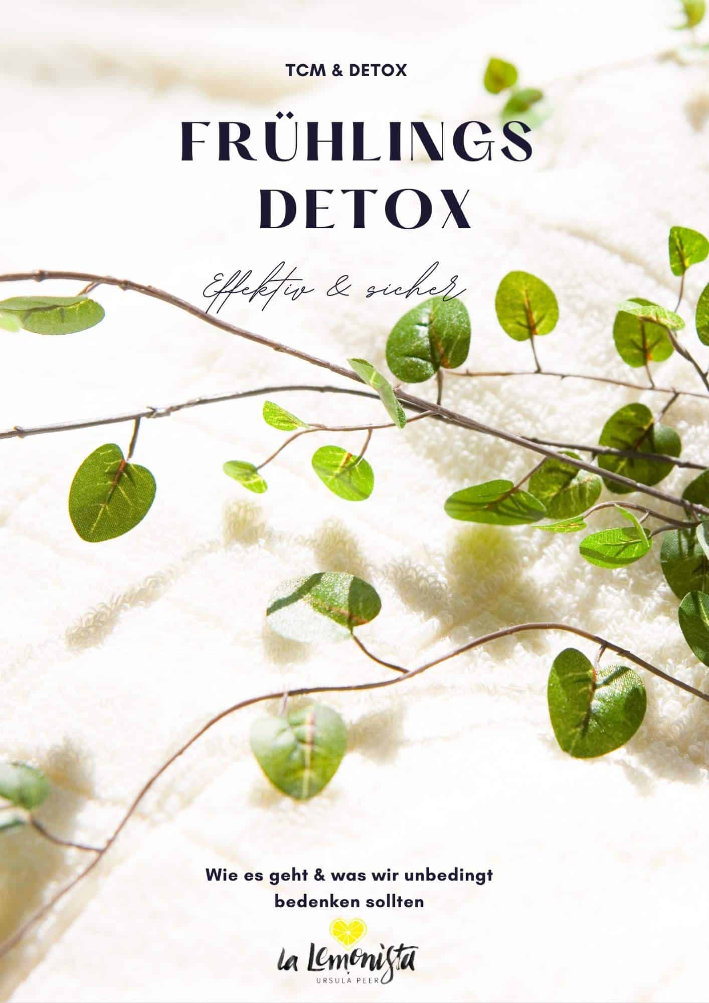 ApresSommerDETOXWorkbook2025